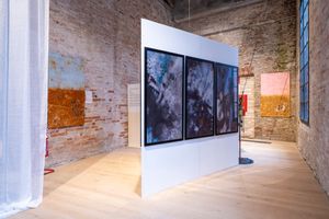 Exhibition view: _PALA_, Seychelles Pavilion, The 60th International Art Exhibition, La Biennale di Venezia, Venice (20 April–24 November 2024). Courtesy La Biennale di Venezia. Photo: Andrea Avezzù.